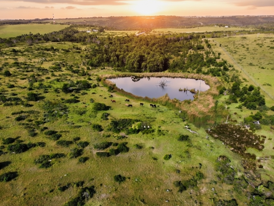 3 Bedroom Property for Sale in Kidds Beach Eastern Cape